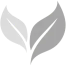 EcoFloStraws